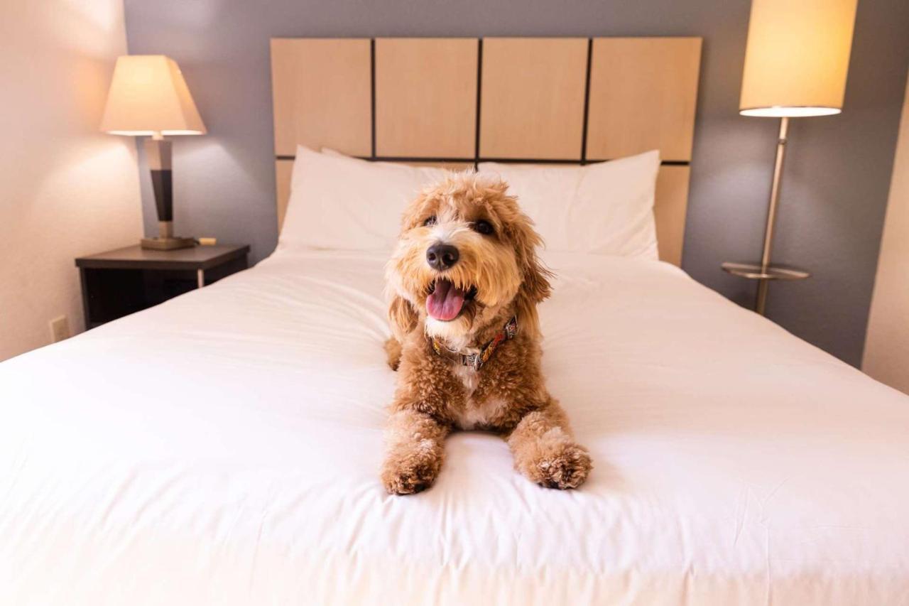 Sonesta Simply Suites Oklahoma City Airport Esterno foto